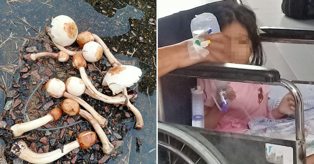 M&#39;sian family of 9 vomits blood, foams at the mouth after accidentally eating poisonous mushrooms - Wau Post