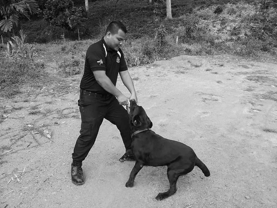 Bad the police dog passed away after serving the force for 11 years. Image credit: Polis Diraja Malaysia