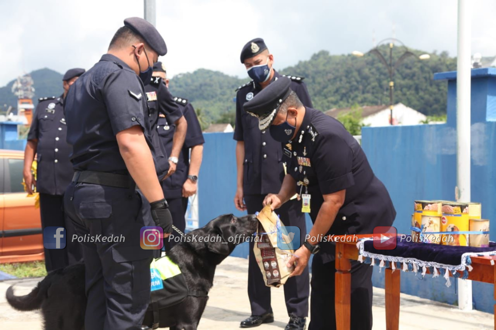 Black inspecting the kibble he was presented with.