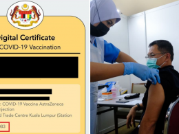 A vaccination certificate showing the affected batch number.