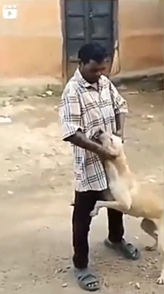 Man abusing dog hit by instant karma