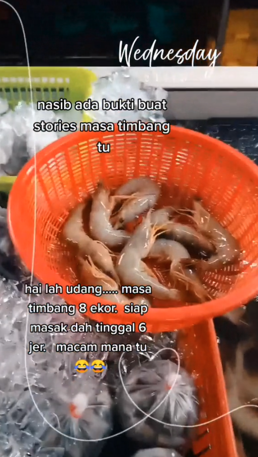The prawns as they were being weighed.