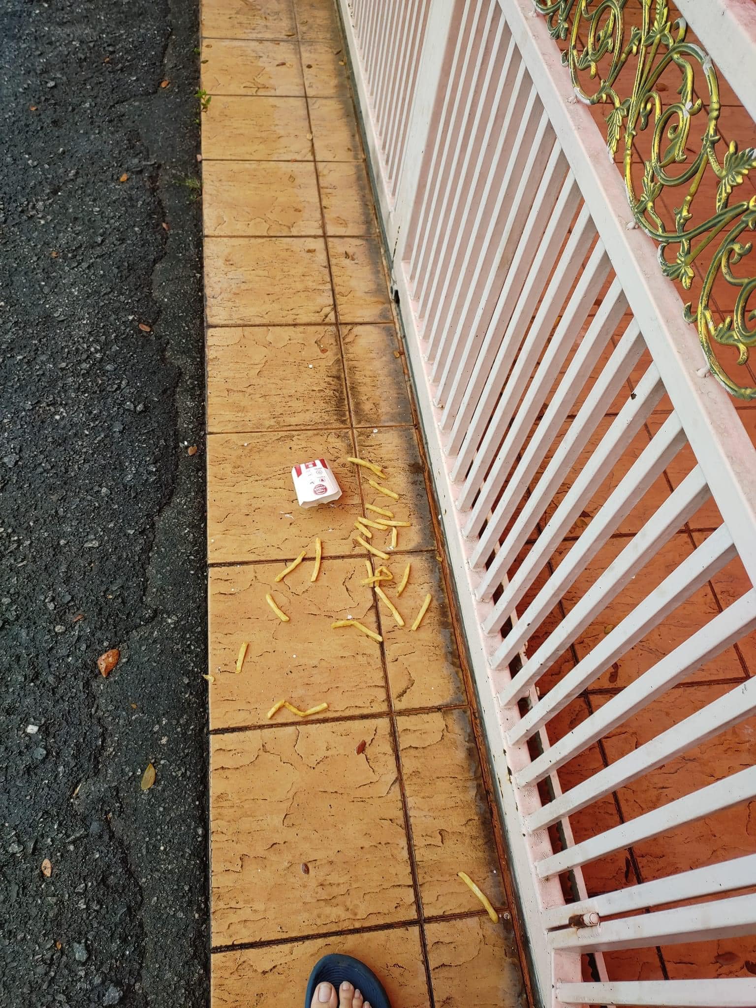 A photo of the food accidentally spilled by the food rider.