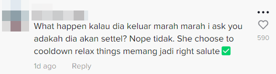 The driver of the other car has received praise for remaining calm despite the accident. Source: TikTok