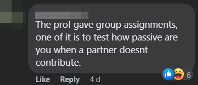 Netizens have rallied behind the anonymous student's email to call out their freeloading partner in their group project. Source: Facebook