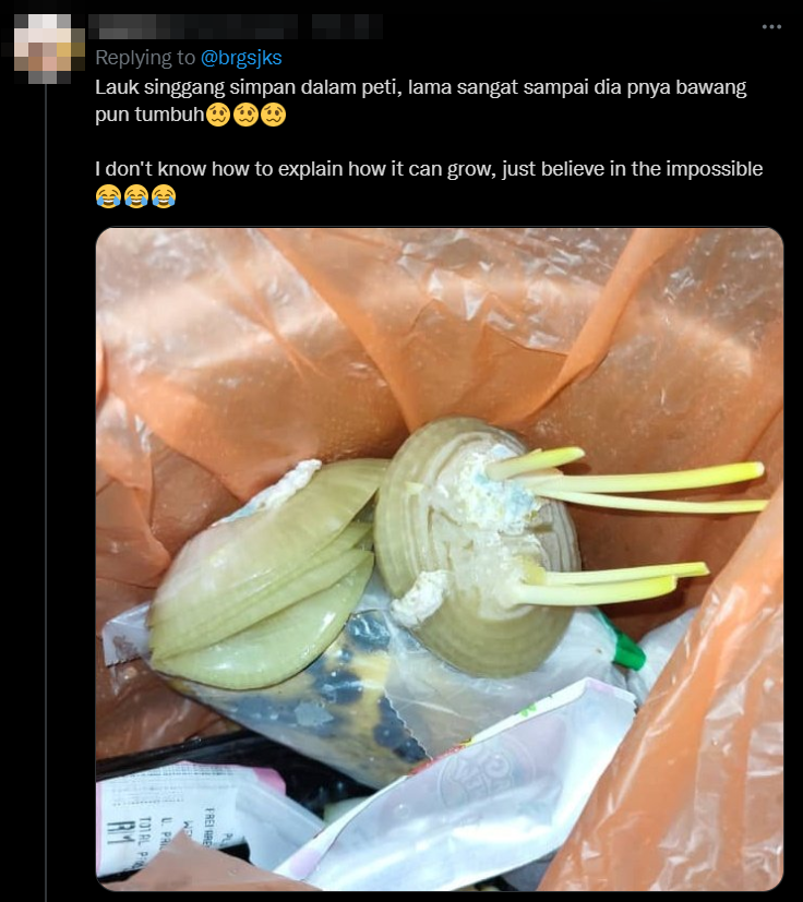 Netizens have taken to sharing some of their most horrific experiences with filthy housemates on Twitter. Source: Twitter
