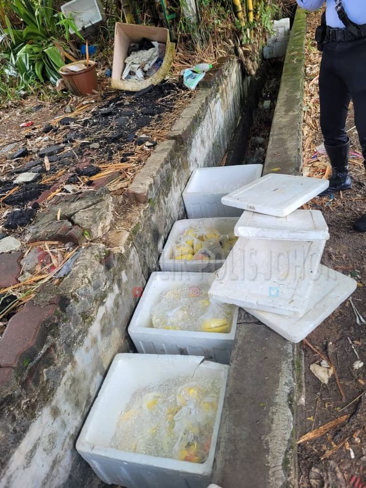 Police have found that roadside jeruk (pickled fruits) sellers have been keeping their stock in drains and near sewage areas. Source: Polis Johor