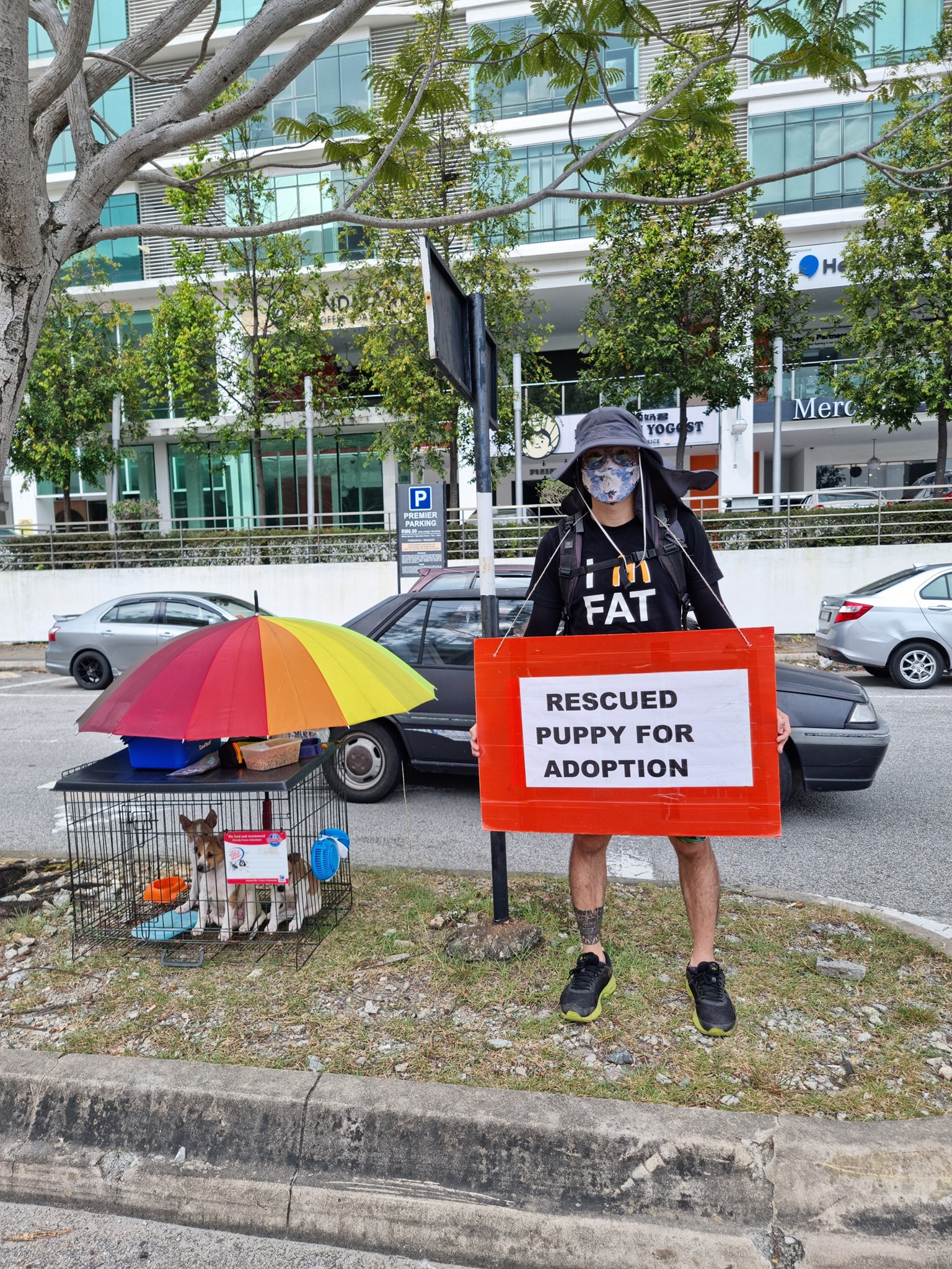 Francis would often set-up an adoption drive by the road outside AEON Bukit Tinggi in Klang. Source: Francis Yirdaki CT