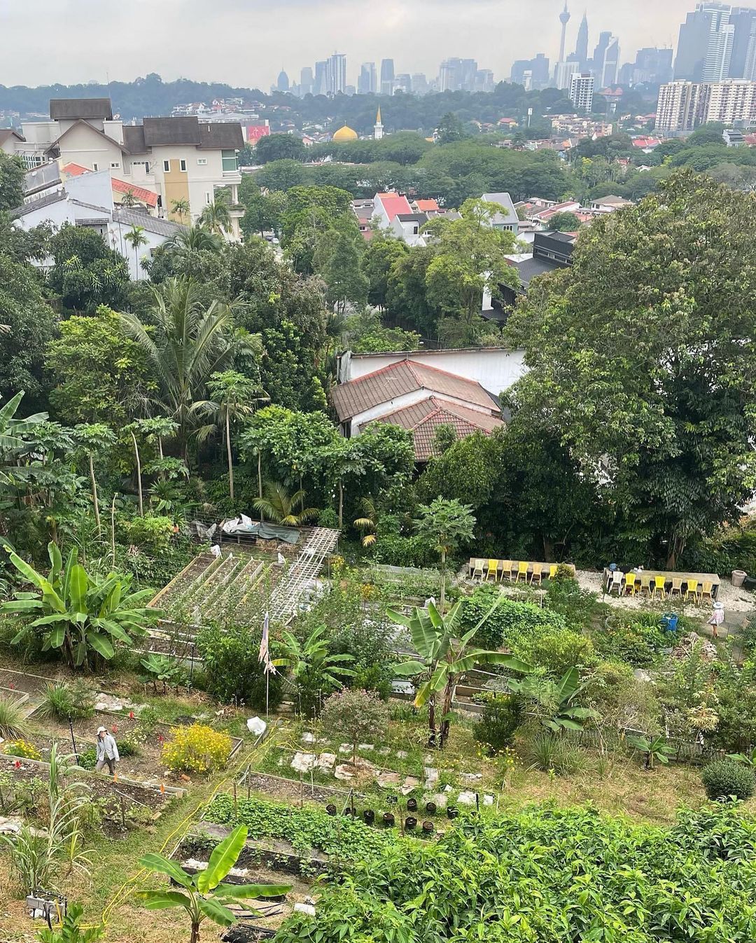 The farm was founded by architect Ng Sek San in 2016. Image credit: kebunkebunbangsar