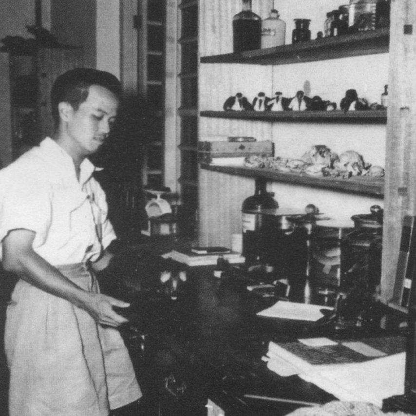 Dr Lim applied for a position as a lab assistant with the Institute of Medical Research (IMR) in 1974. Image credit: Google