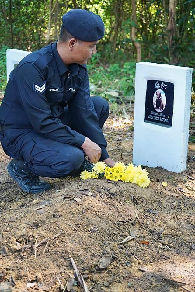 Bad the police dog passed away after serving the force for 11 years. Image credit: Polis Diraja Malaysia