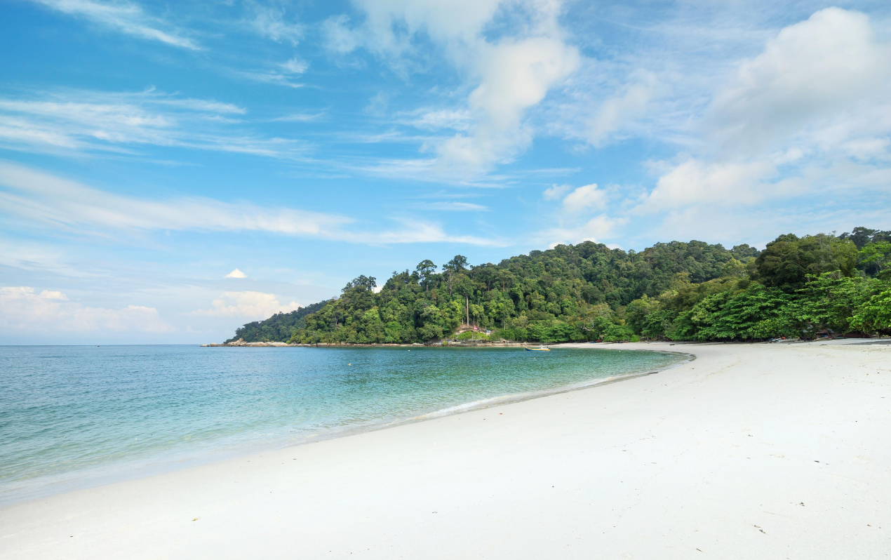 A 5-year-old French boy was stung by jellyfish along a beach in Pangkor. Image credit: Trip.com