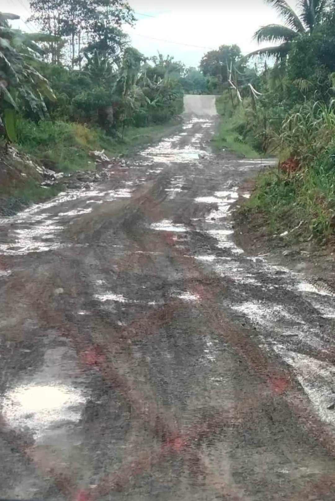 Residents of a Sandakan village have taken to fixing potholes along a local road themselves. Image credit: ISU Sandakan