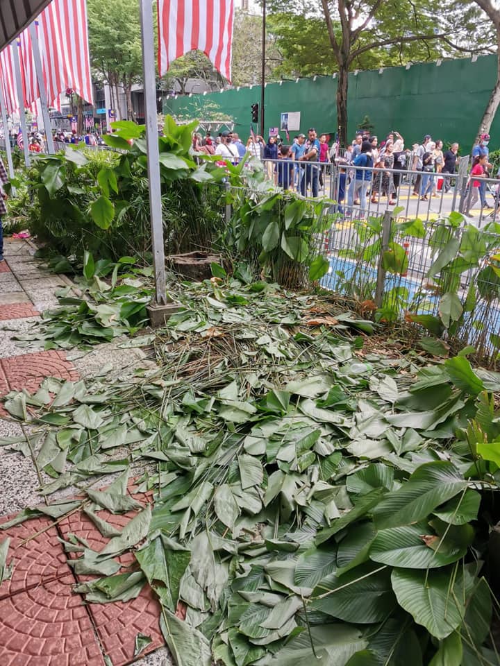 DBKL has admonished spectators who trampled on landscaped greenery during the Merdeka parade. Image credit: DBKL