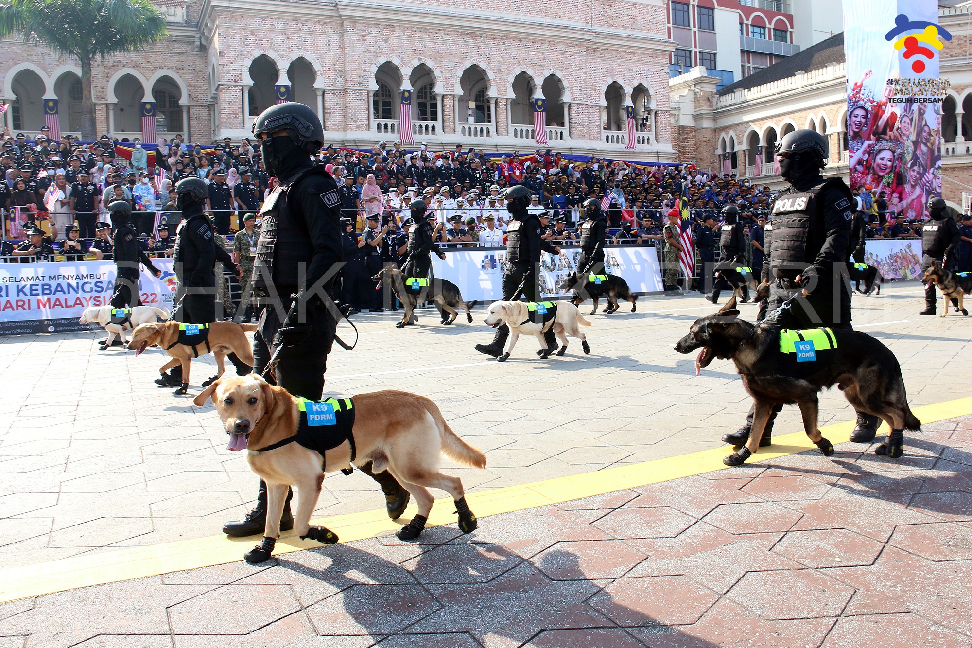 The Royal Malaysian Police's K9 unit dogs were seen wearing adorable tiny paw-boots during the Merdeka parade. Image credit: PDRM