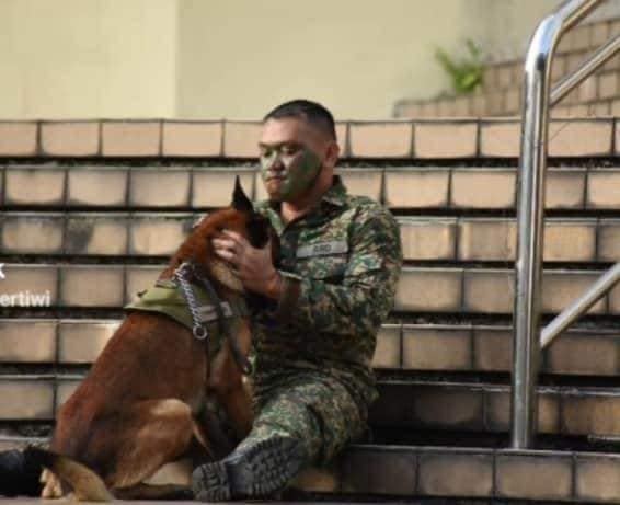 A soldier has gone viral after he was seen cuddling up to his dog during this year's Merdeka Parade. Image credit: Panggilan Pertiwi