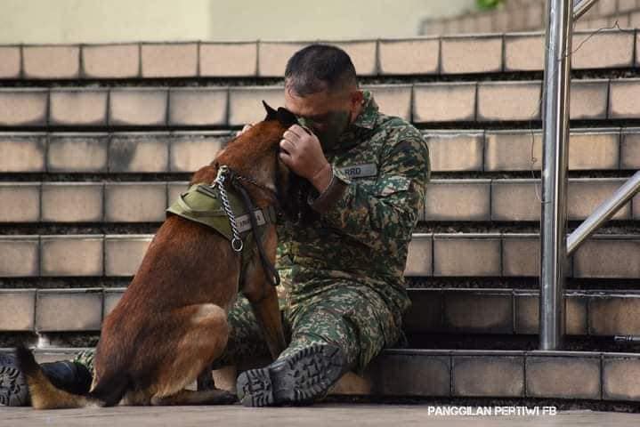 A soldier has gone viral after he was seen cuddling up to his dog during this year's Merdeka Parade. Image credit: Panggilan Pertiwi