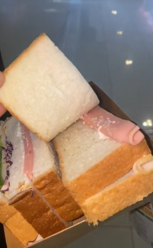 Nur Aisyah revealed the measly contents of her RM7 sandwich from 7-Eleven. Image credit: real.eycah
