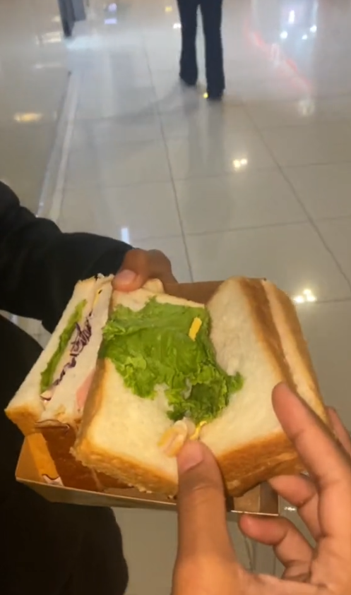 Nur Aisyah revealed the measly contents of her RM7 sandwich from 7-Eleven. Image credit: real.eycah